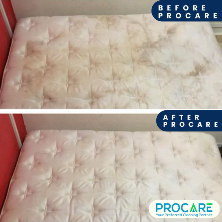 Mattress Cleaning Services